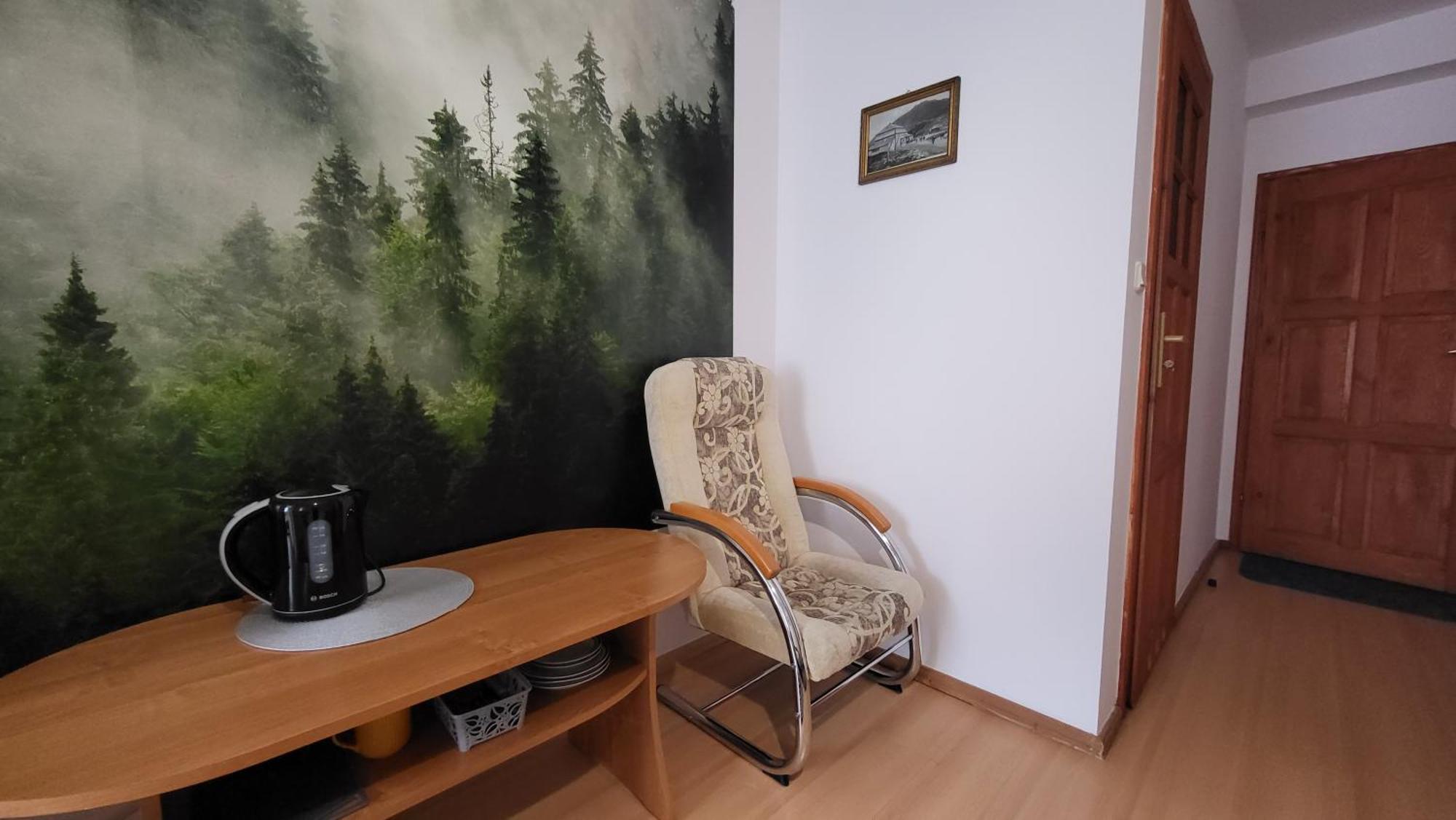 Pokoje Goscinne U Zosi Карпач Стая снимка
